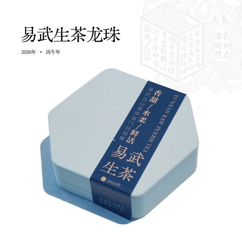 宋聘号2026年易武正山普洱生茶迷你龙珠24g盒装 便携伴手礼