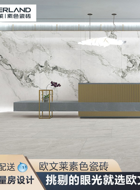 电视背景墙瓷砖3690x2600欧文莱素色客厅地板砖天鹅湖QI1226P370