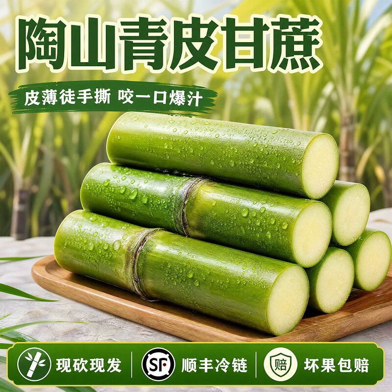 顺丰陶山青皮甘蔗浙江温州特产皮薄渣少3-5斤独立包装奶茶店商用