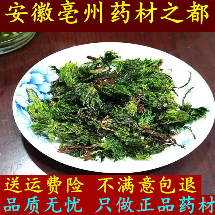 回心草中药材回心草 正品 云南 250克半斤包邮 大叶藓 新货上市