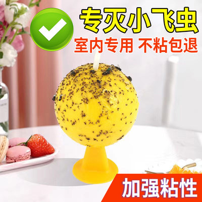 果蝇诱捕器粘虫球苍蚊子厨