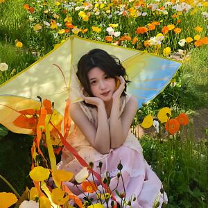 橙色蝴蝶风筝大人专用野