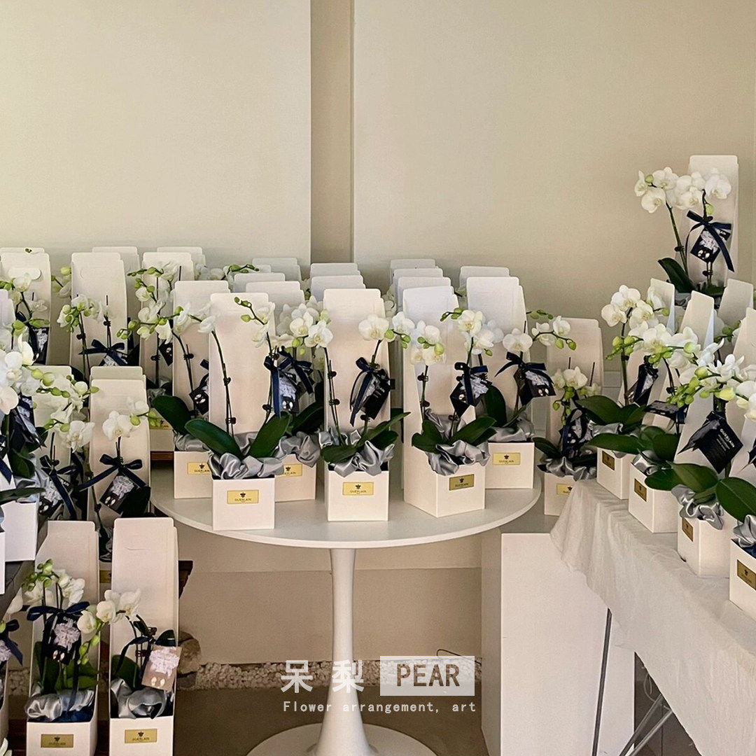 女神节手提花盒蝴蝶兰礼