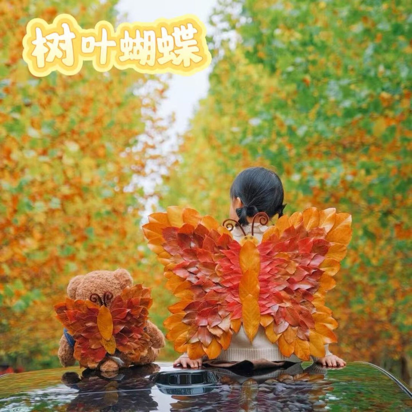 秋天树叶落叶蝴蝶儿童亲