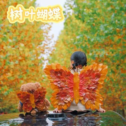 秋天树叶落叶蝴蝶儿童亲