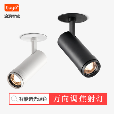 涂鸦直连手机app调光调色调焦