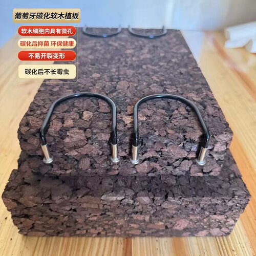 高密度碳化软木版鹿角蕨植板植挂板壁挂耐高温隔热软木板高端植板