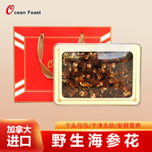 OceanFeast加拿大海参花干货春节礼品野生淡干进口北极参红极参