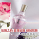 清新花香保罗玫瑰之约倾城花舞超博非凡玫瑰花之初天鹅女香水小样