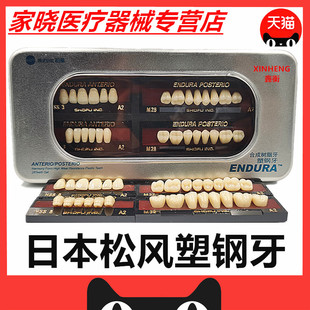 牙科材料 松风塑钢牙 进口塑钢烤瓷牙日本松风假牙全口义