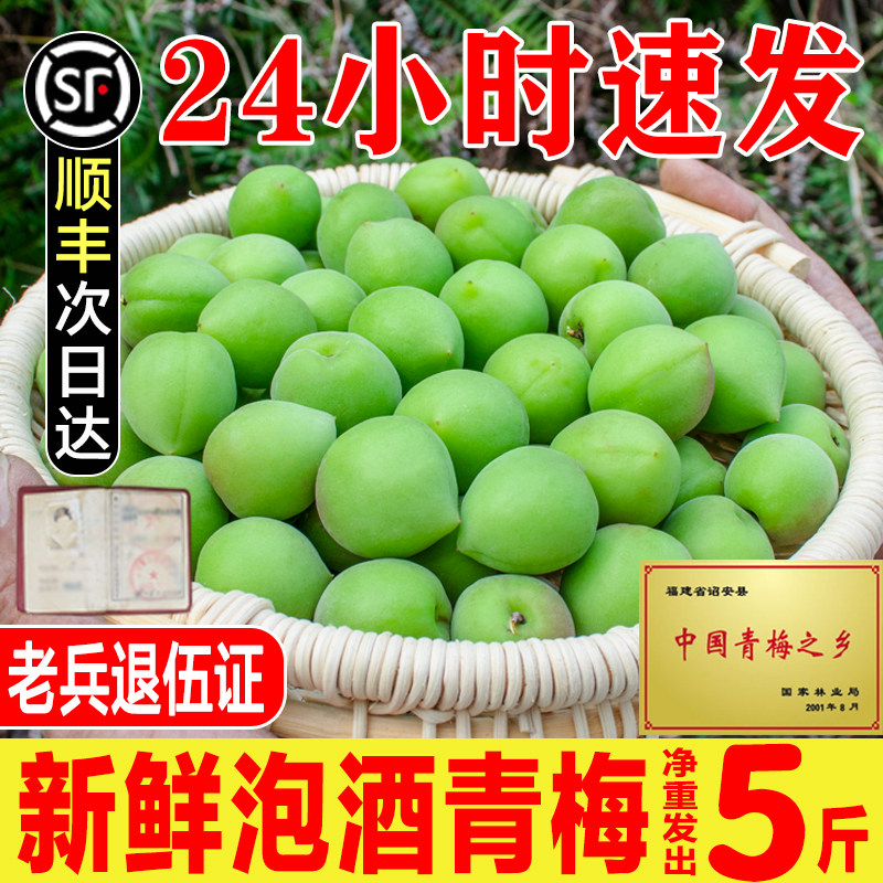 2026青梅鲜果诏安青梅现摘泡酒青梅酵素酸水果鲜梅子5斤酸水果