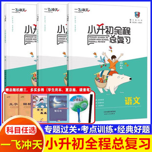 2024一飞冲天小升初全程总复习语文数学英语人教版精通版部编天津中考毕业升学系统总复习资料专项训练辅导书知识大集结教辅书