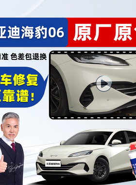 适用比亚迪海豹06dmi补漆笔暖色烟茶自喷漆旅行雪域白灰色ev车漆