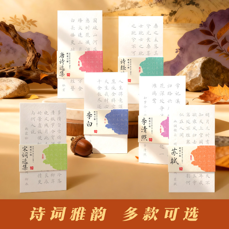 飞乐鸟字帖练字成人楷书女士静心练字帖成年女生字体簪花小楷漂亮初高中生专用钢笔硬笔书法古诗词每日一练,文具电教/文化用品/商务用品,控笔训练本,淘宝优惠券,粉丝福利购,淘宝优惠卷