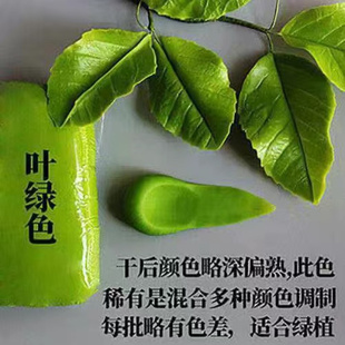 面包土树脂 人偶土免烤半透明多肉花卉儿童粘土水晶冷瓷土黏土