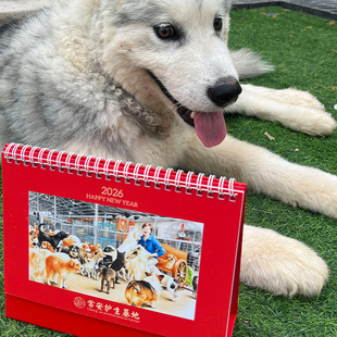 【常安护生基地】2026年度狗狗寄语爱心台历