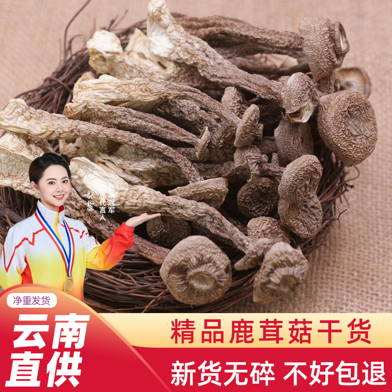 野生鹿茸菇干货鸡枞菌菌菇干蘑菇