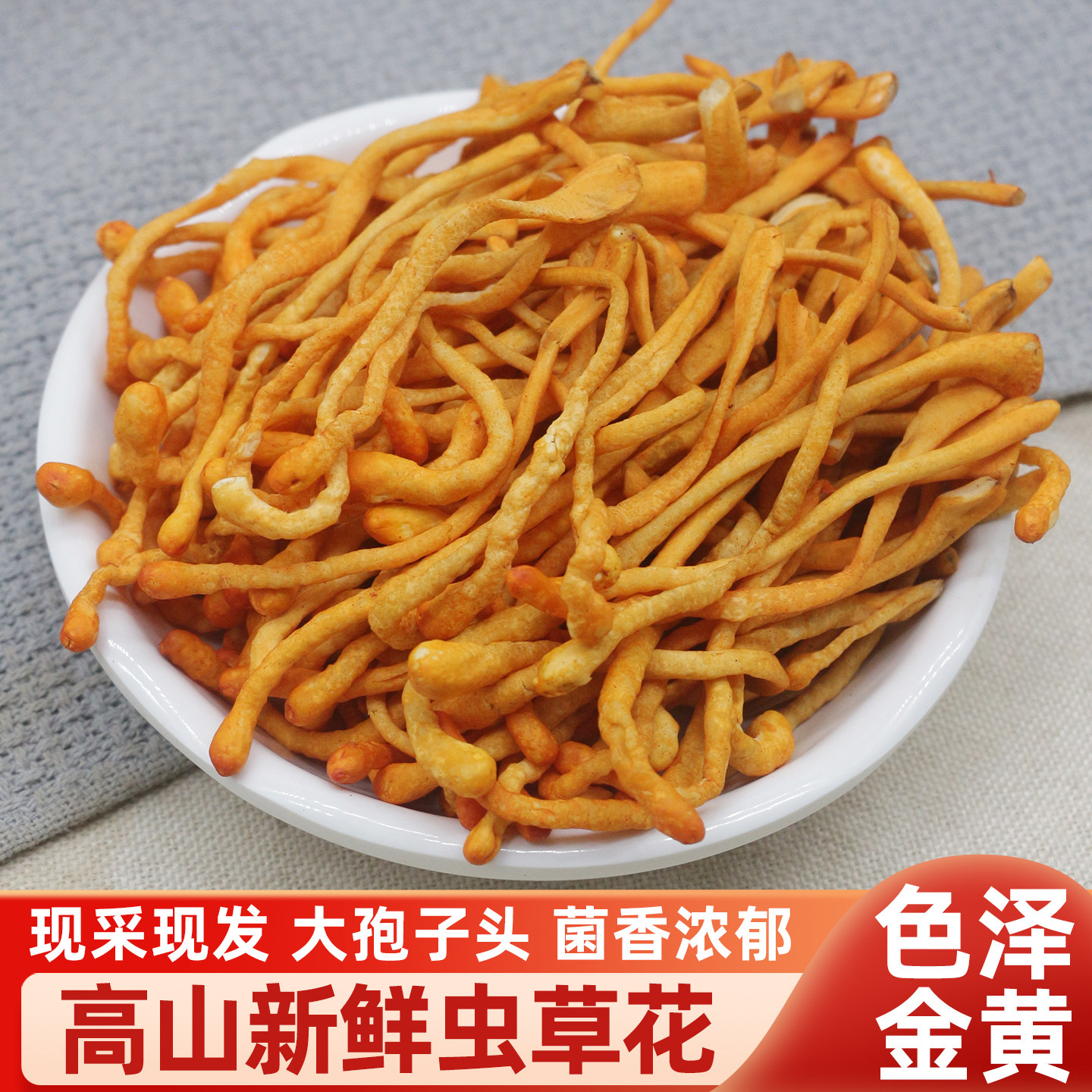 新鲜虫草花500g非干货鲜蛹虫草北金虫草菇孢子头煲汤凉拌火锅食材