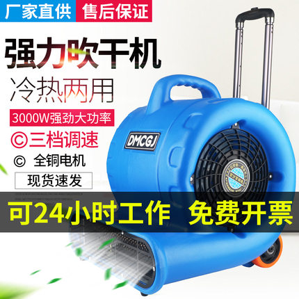 吹干机酒店商用大功率干燥冷热吹风机地毯厕所地面地板除湿吹地机