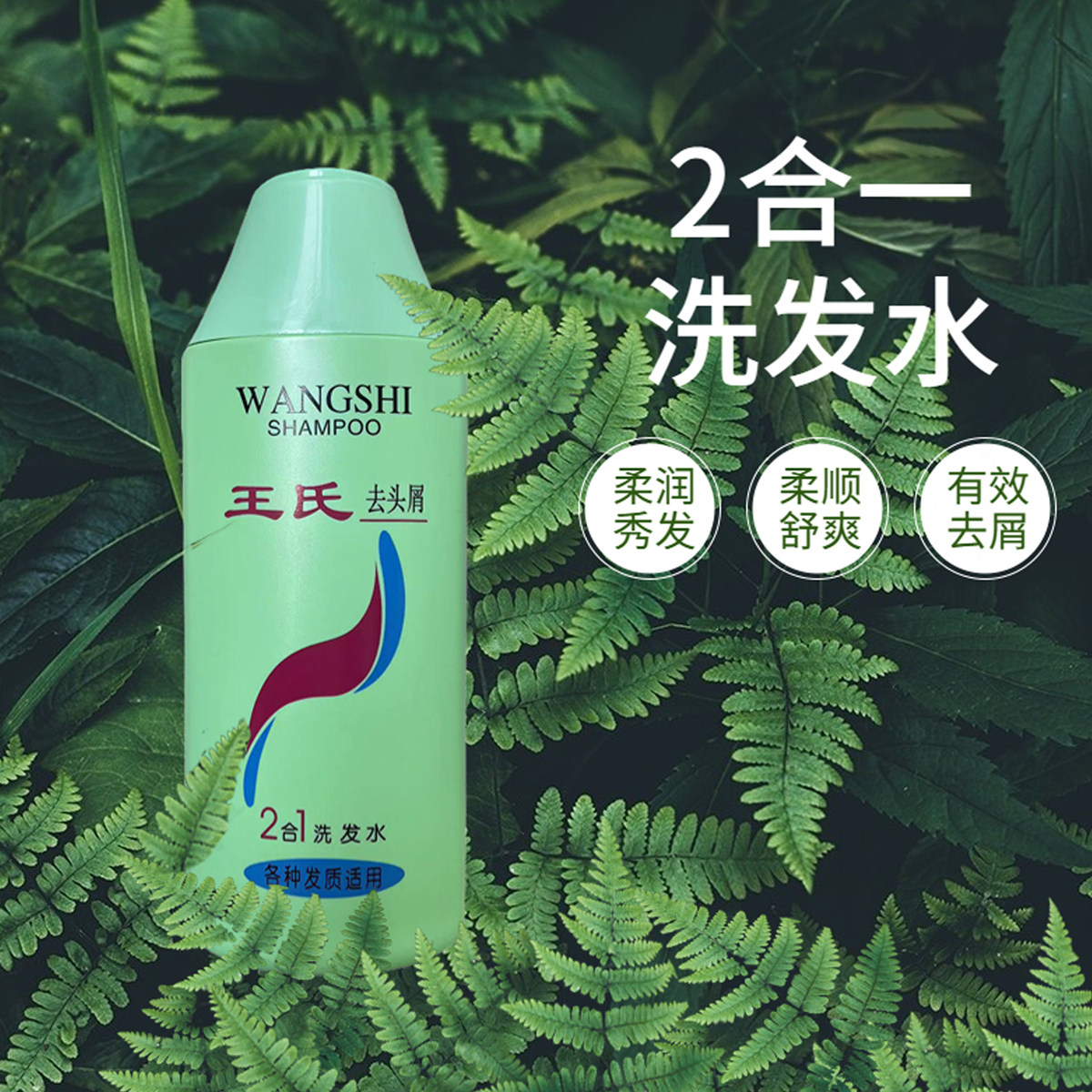 王氏去头屑油性头屑去头屑止痒