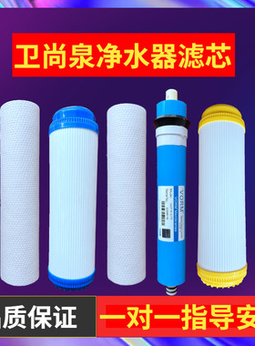 适用于卫尚泉净水器滤芯WSQ-RO-100加热一体机10寸PP棉反渗透RO膜