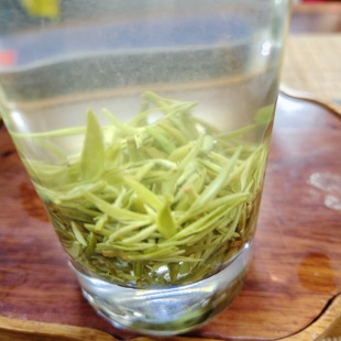 2025年新茶明前团山芽芯花香 散装茶 石莹阁 都匀 毛尖 贵州绿茶