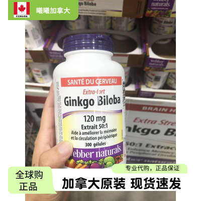 加拿大伟博Ginkgo银杏叶