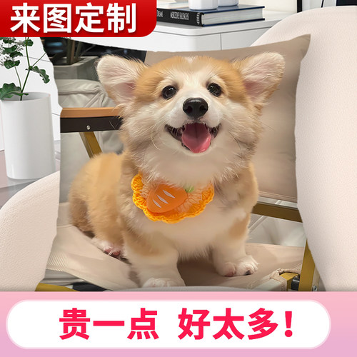 萌宠抱枕diy来图定做高端羽丝绒