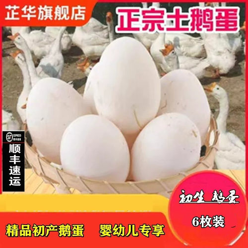 散养鹅蛋新鲜孕妇芷华顺丰包邮