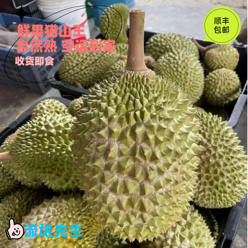 猫山王榴莲马来西亚进口