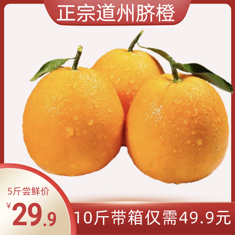 正宗湖南道州脐橙甘甜多汁新鲜采摘产地直发道县特产应季橙子包邮
