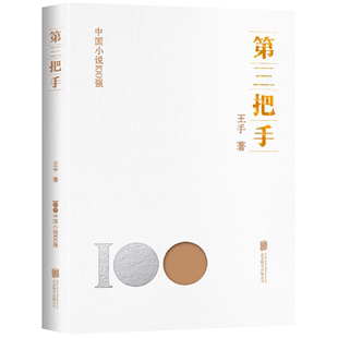 正版包邮 第三把手 中国小说100强系列 小人物的家长里短 一代温州人的创业经 郁达夫小说奖提名 中国文学小说 小说版鸡毛飞上天