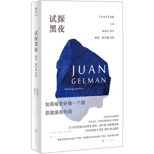 试探黑夜:胡安·赫尔曼诗选 2024豆瓣年度诗集 百年孤独译者范晔编译 用诗歌捍卫人的尊严 明室正版畅销外国诗集