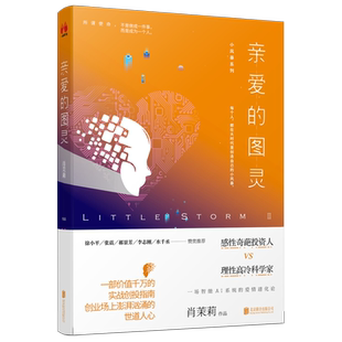 正版现货 小风暴Ⅱ亲爱的图灵 一部价值千万的实战创投指南创业场上汹涌澎湃的世道人心 中国现当代随笔文学小说书籍畅销书