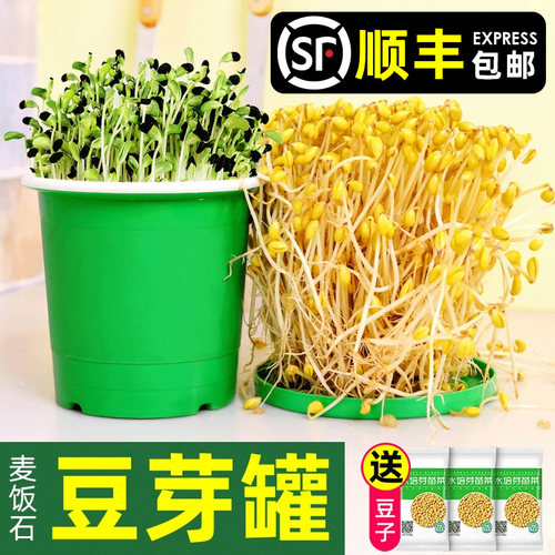 生发豆芽神器家庭豆发商用机