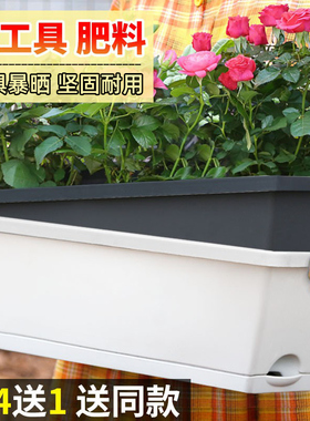 长方形花盆霍伦盆多肉植物塑料种菜家庭阳台长条种植盆花槽大号