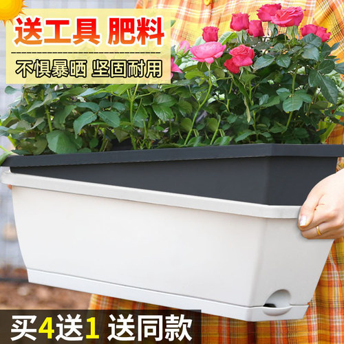 长方形花盆霍伦盆多肉植物塑料种菜家庭阳台长条种植盆花槽大号 - 封面