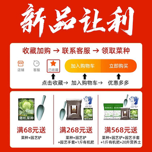 种植箱种菜盆专用箱家庭阳台楼顶花箱花盆蔬菜家用盆塑料长方形