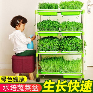 豆芽发芽盆无土栽培植物阳台种菜设备水培器皿蔬菜盆芽苗菜育苗盆