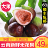 【順豐快遞】雲南無花果新鮮3斤紫皮紅皮非青皮現發當季無花果