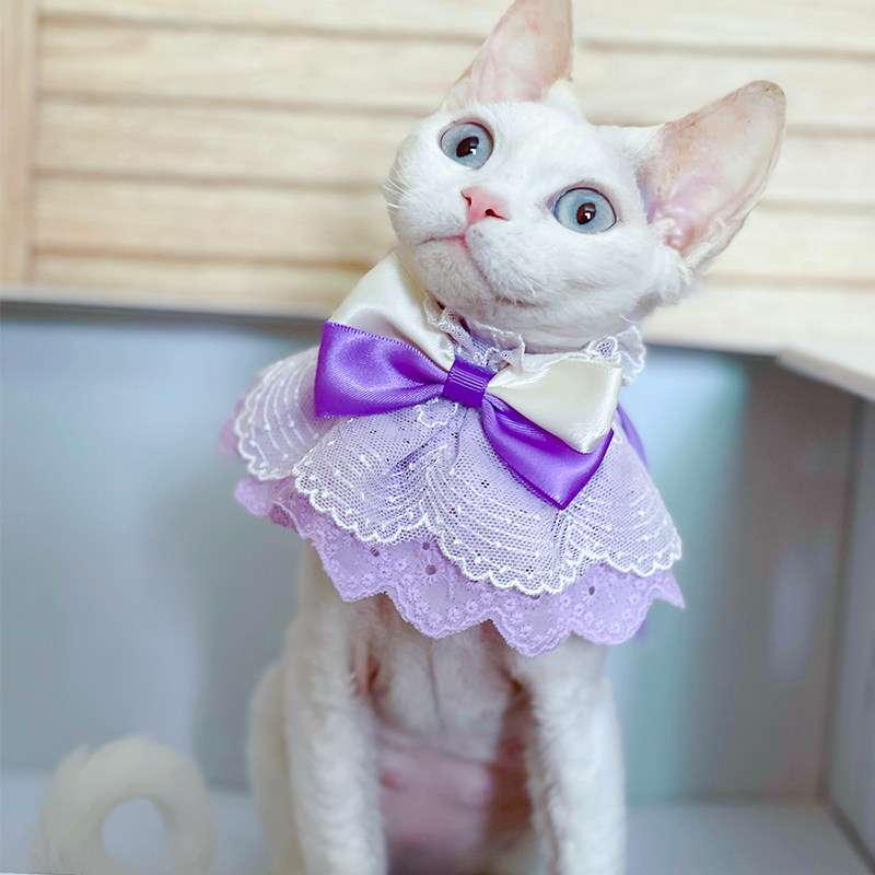 宝眷猫咪斗篷围兜围嘴宠物饰品围巾衣服猫服饰装饰品蓝猫德文布偶