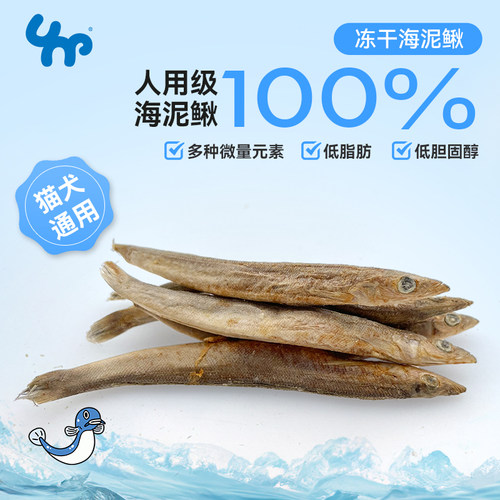 海泥鳅冻干宝眷急冻锁鲜