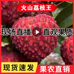 海南火山荔枝王巨无霸特大超大新鲜荔枝现摘应季整箱水果顺丰礼盒