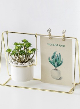 北欧仿真绿植盆栽摆件创意ins风装饰植物室内假花桌面迷你小定制