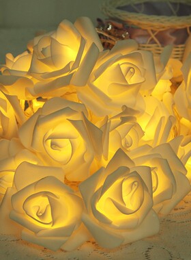 20LED玫瑰造型LED灯串电池盒灯串家居婚庆圣诞装饰串灯仿真花定制