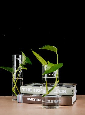 壁挂花瓶创意家居饰品 透明玻璃容器水培花瓶摆件悬挂打孔瓶定制