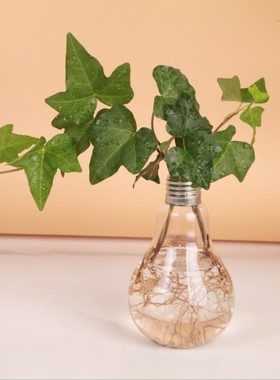 悬挂灯泡玻璃花瓶复古装饰水培花器生态瓶绿植水培花器客厅摆定制