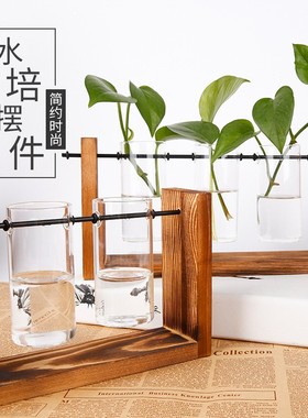 创意水培玻璃摆件 透明玻璃试管木架花瓶水培容器办公室绿色定制