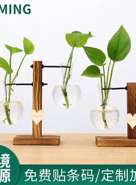 欧式水培容器玻璃植物木架花瓶创意花盆家居室内园艺客厅桌面定制