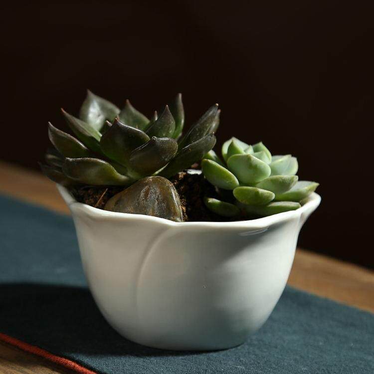简约现代白色陶瓷小花盆 玫瑰花形多肉植物花盆桌面摆件